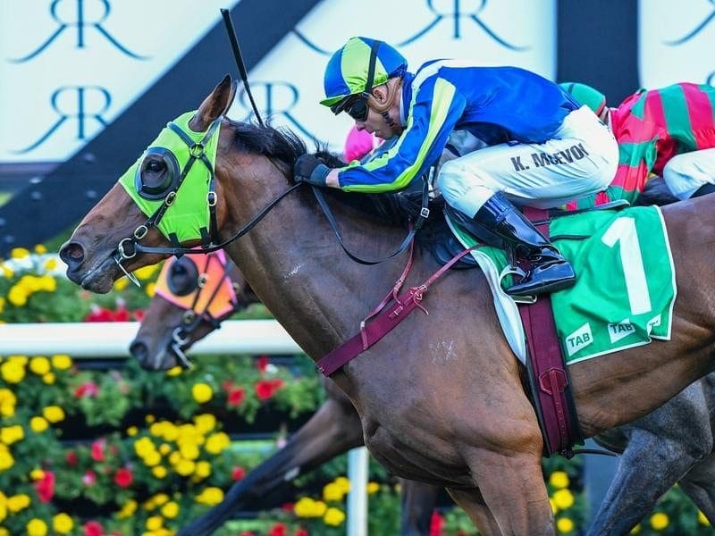 Resilient filly Luvaluva has impressed with an Adrian Knox Stakes win at Randwick. Jockey Kerrin McEvoy riding Luvaluva to win.