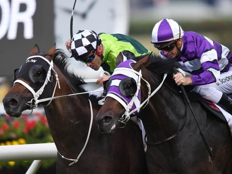 Higher Ground (right) has edged out Chris Waller-trained stablemate Tangled to win at Randwick. Higher Ground (right) ridden by Glyn Schofield