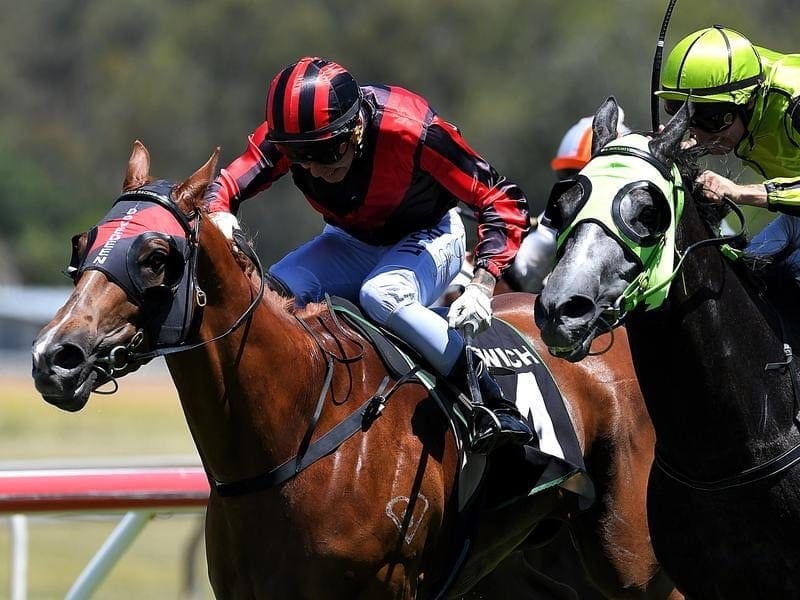 The John Zielke-trained Dreams Aplenty (left) returns to the Sunshine Coast for an open handicap. dreams aplenty