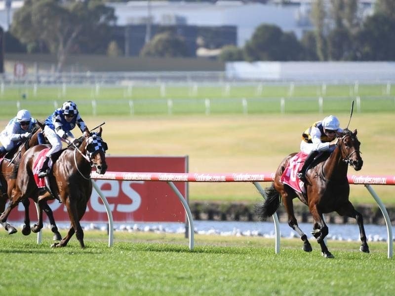 The Matt Cumani-trained Corrs will be aimed at better races after her win at Sandown. corrs