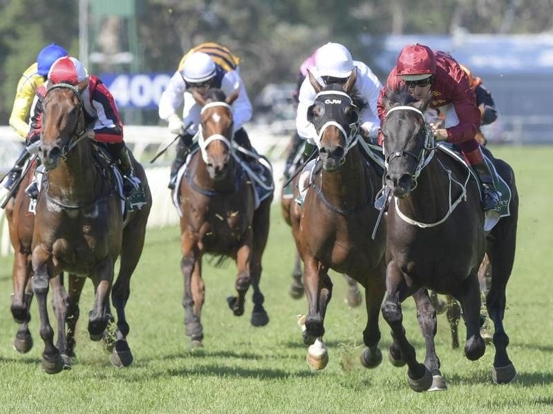 Omineca (right) part-owned by Wests Tigers co-captain Chris Lawrence, has won at Warwick Farm. omineca