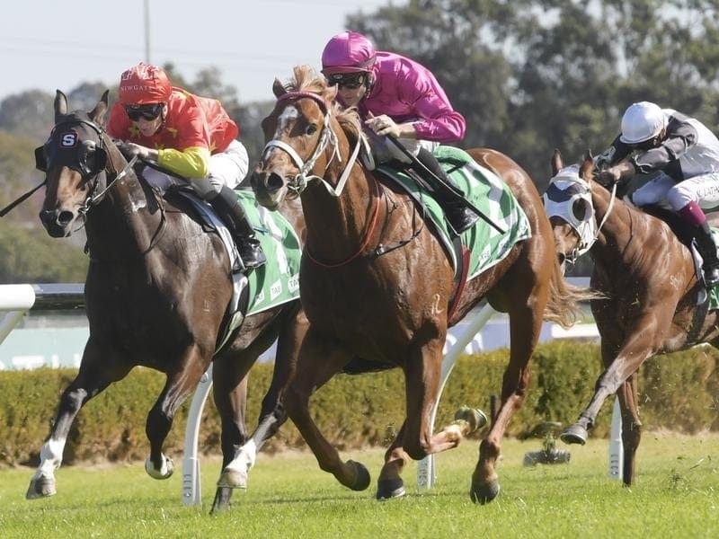 Beidi off and running in Canterbury win | Betting Site