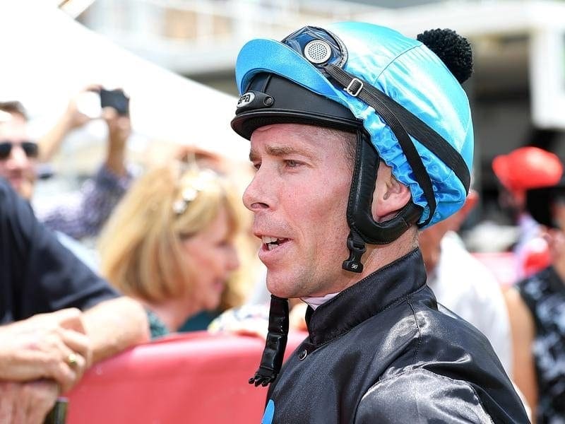 Brad Stewart will ride Man Of His Word in a weight-for-age test in the Hollindale Stakes. Brad Stewart