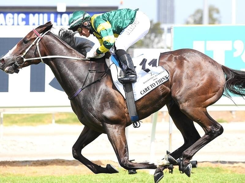 James McDonald will ride leading chance Care To Think in the G1 Kingsford Smith Cup. care to think