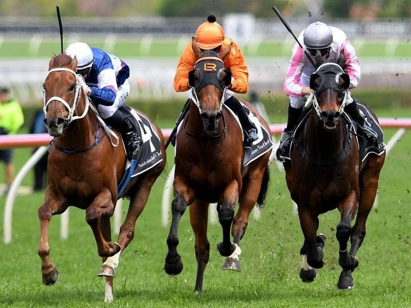 Veteran Destiny's Kiss (r) will line up in the McKell Cup at Randwick to confirm a trip to Brisbane. destiny's kiss