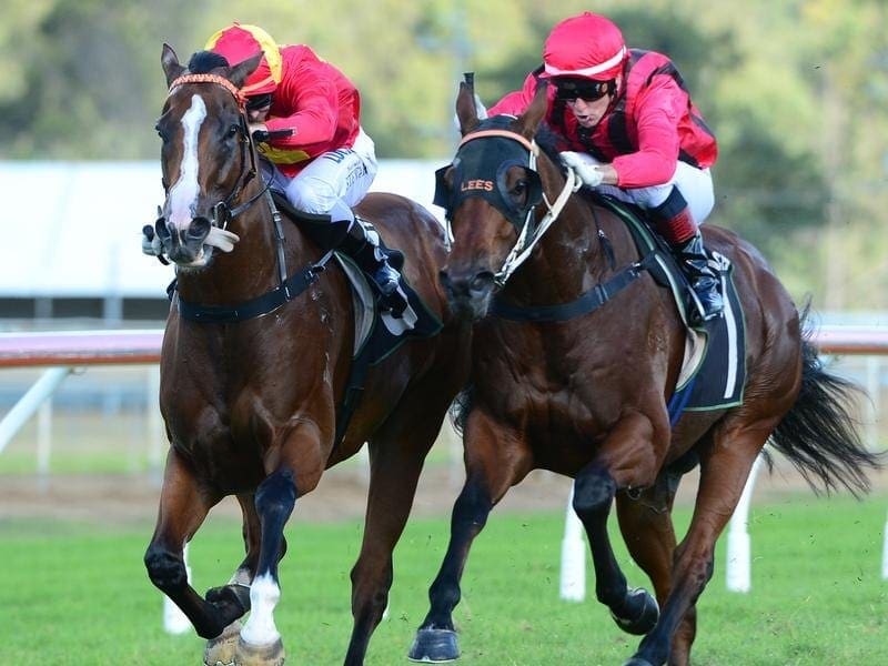 Banner Season (right) has secured a Queensland Derby start with his hard-fought win at Ipswich. Banner Season (right)
