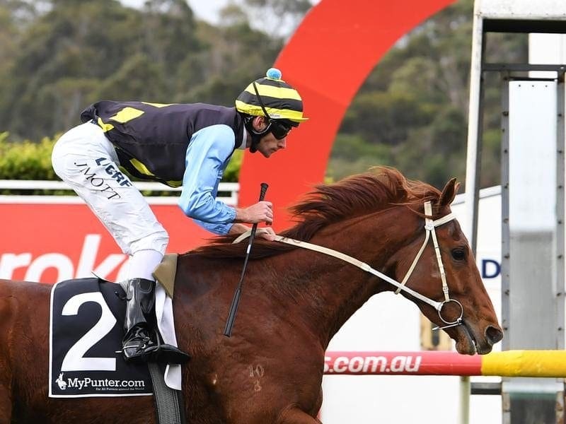 Laughing Heir has given trainer Kelvin Southey an overdue city success with an easy Sandown win. Laughing Heir wins at Sandown.