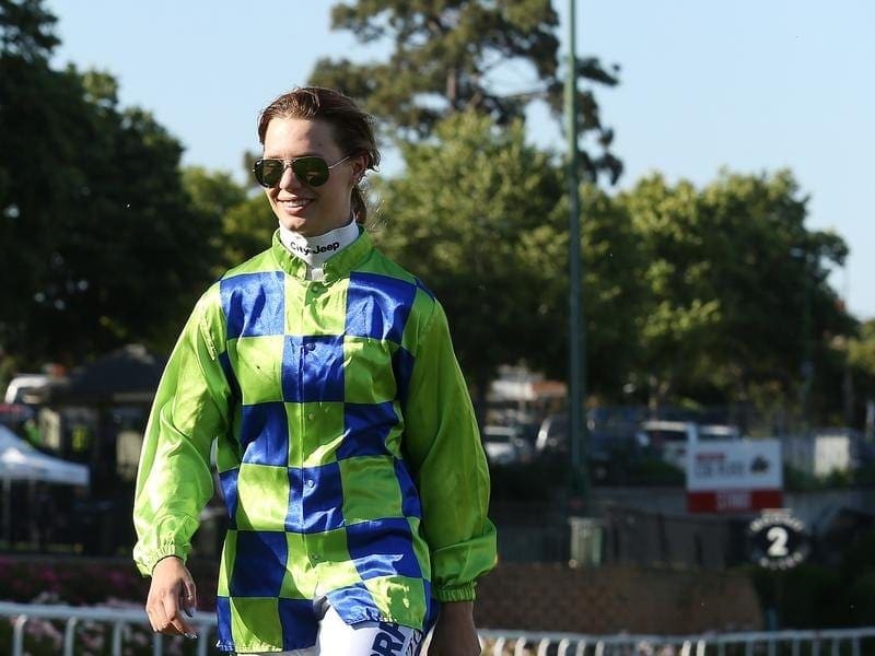 Stephanie Thornton will ride Belwazi when she returns to Moonee Valley for trainer Jerome Hunter. belwazi