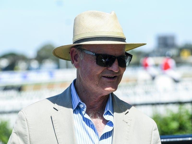 Trainer David Payne expects Silent Explorer to improve when he heads to Warwick Farm. david payne