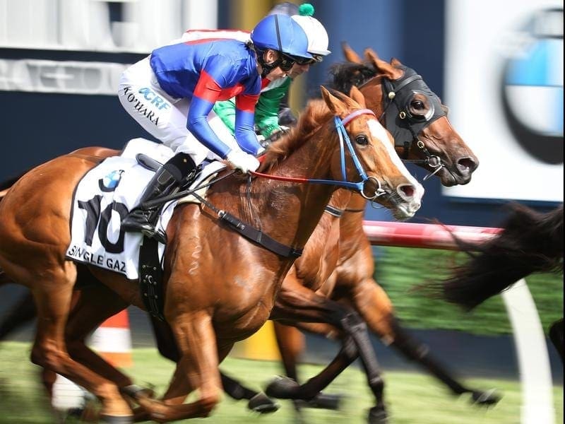 In a surprise move, Group One winner Single Gaze (blue/red) has joined the Chris Waller stable. single gaze