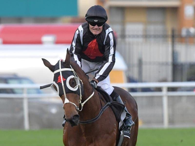 Jungle Edge has revelled in rain-affected conditions at Randwick, winning the Listed June Stakes. Jockey Kevin Forrester reacts after riding Jungle Edge.