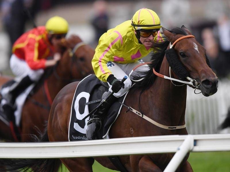 Dawn Dawn has been guided by veteran jockey Robert Thompson to a two-length victory at Rosehill. Dawn Dawn ridden by Robert Thompson wins race 3 at Rosehill