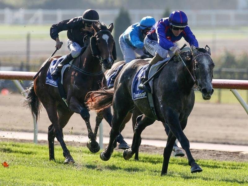 Damian Lane has ridden Anjana to victory in the two-year-old's city debut at Moonee Valley. Damian Lane rides Anjana to win race 1 at Moonee Valley
