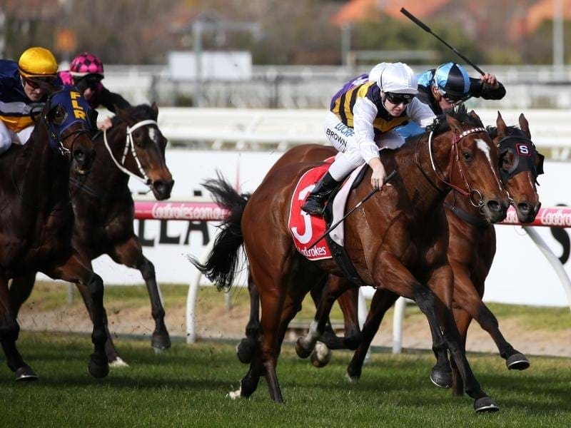 Jockey Ethan Brown rides Mantastic to victory at Caulfield Racecourse. Jockey Ethan Brown rides Mantastic
