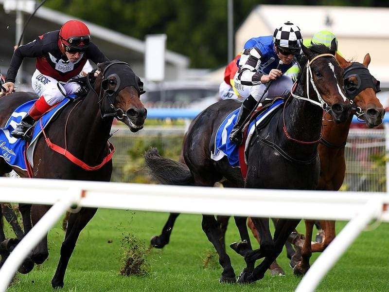 Jockey Damian Browne (right) rides Princess Posh to victory at Doomben Racecourse in Brisbane. Jockey Damian Browne (right) rides Princess Posh