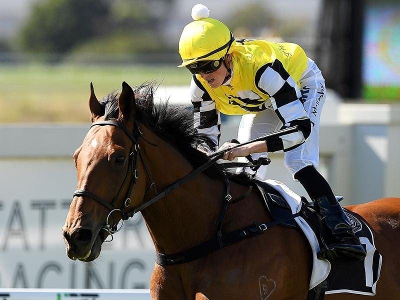 Jackson Murphy has ridden his first Saturday metropolitan winner aboard San Telmo at Doomben. jackson murphy