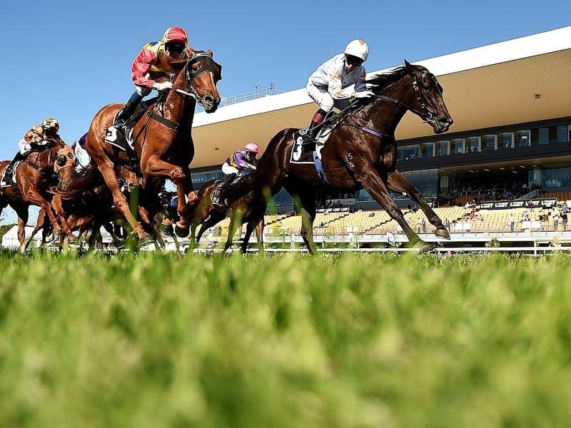 Jockey Jeff Lloyd rides Miss Quaintly (r) to victory in the QTIS Two-Year-Old Handicap at Doomben. Miss Quaintly