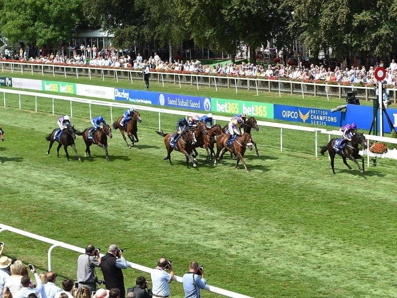 US Navy Flag (right) will now be set for the $13m Everest in Sydney after his July Cup win. us navy flag