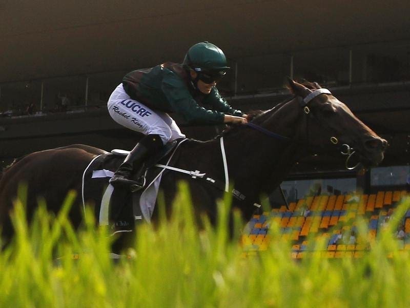 Epsom Handicap-bound Lanciato takes on a crack field of sprinters in the Group Two Missile Stakes. lanciato