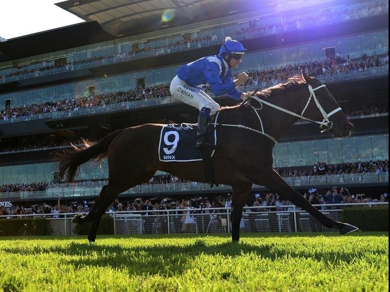 Winx will make her 1st public appearance since her QEII Stakes win when she runs in a barrier trial. winx