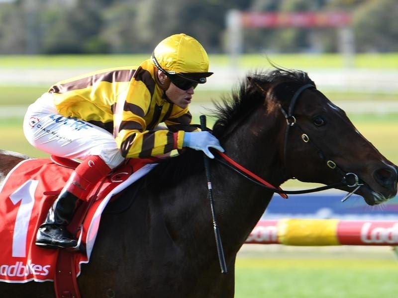 Ben Hercules will make a Sydney debut at Randwick that could thrust him into new-season spotlight. Ben Hercules