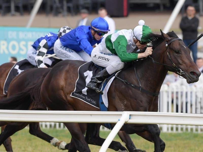 Jockey Blake Shinn rides Thinkin' Big to victory at Rosehill Gardens. Jockey Blake Shinn rides Thinkin' Big