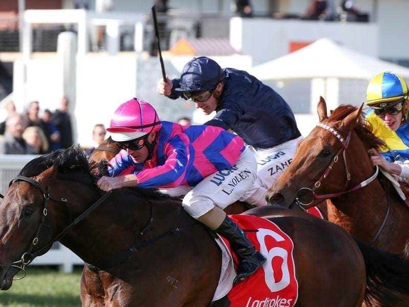 Tony Nicconi has kept an unbeaten record in winning the Vain Stakes at Caulfield. Tony Nicconi wins the Vain Stakes.