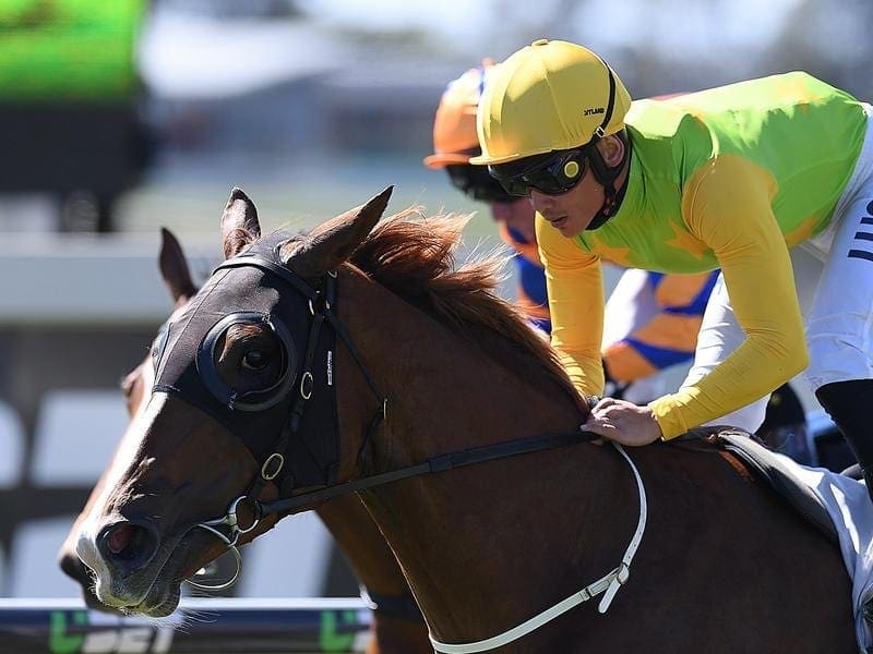 Jockey Matthew McGillivray has ridden Shesees Everything to her her first Saturday class win. shesees everything