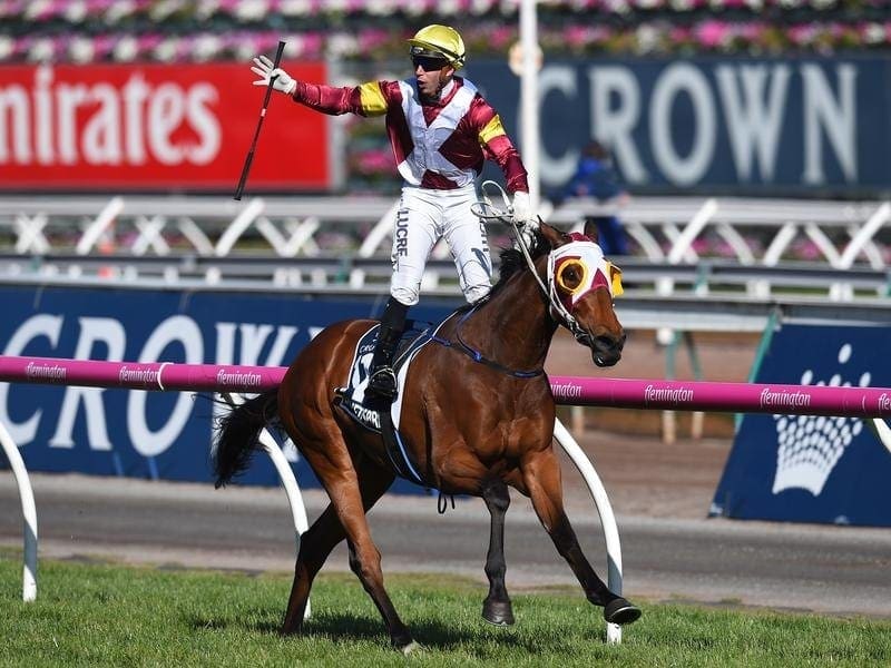 The 2016 VRC Oaks winner Lasqueti Spirit has been retired and will head to the broodmare barn. lasqueti spirit
