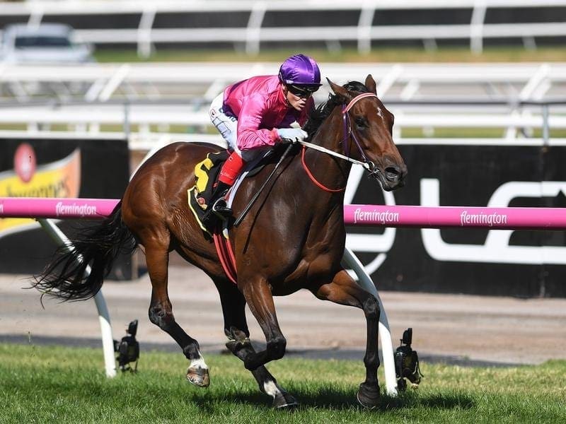 Trainer Ken Keys will hold Spanish Reef back a week to avoid a tough Memsie Stakes first-up. spanish reef