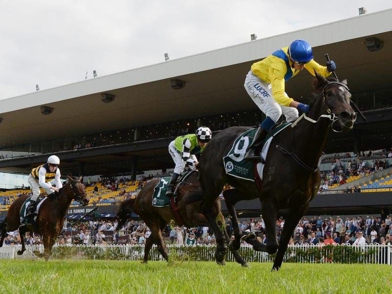 Hiyaam will be one of eight Group One winners to run in a set of barrier trials at Cranbourne. hiyaam