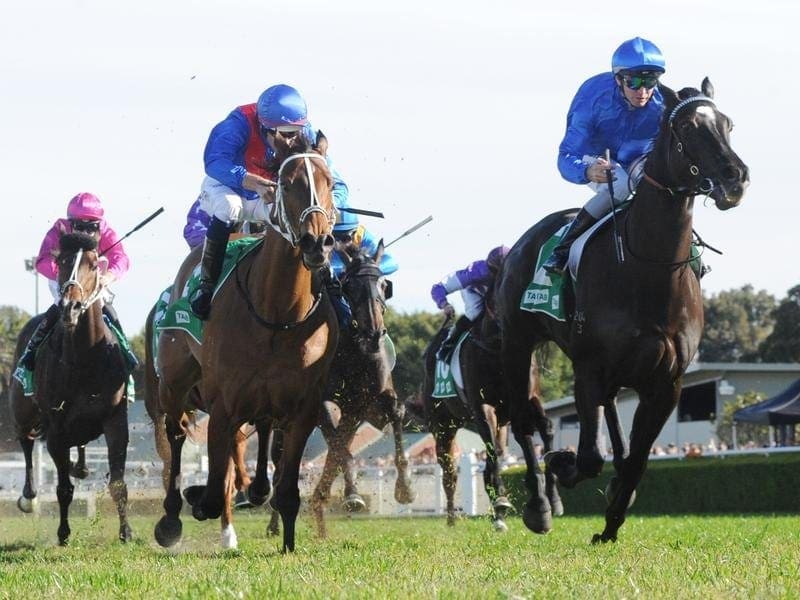 Avilius (right) has made a winning Australian debut for Godolphin trainer James Cummings. Avilius wins at Randwick.