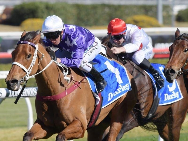 Fiesta has made a winning start to her three-year-old season in taking out the Silver Shadow Stakes. Fiesta wins the Silver Shadow Stakes.