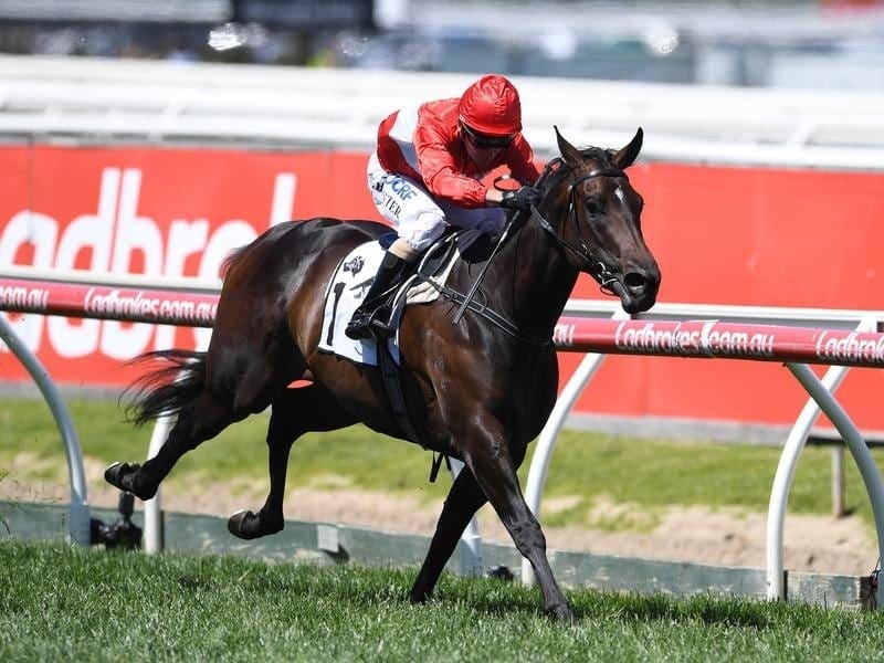 The Gai Waterhouse and Adrian Bott-trained Invincible Star will gallop between races at Randwick. invincible star
