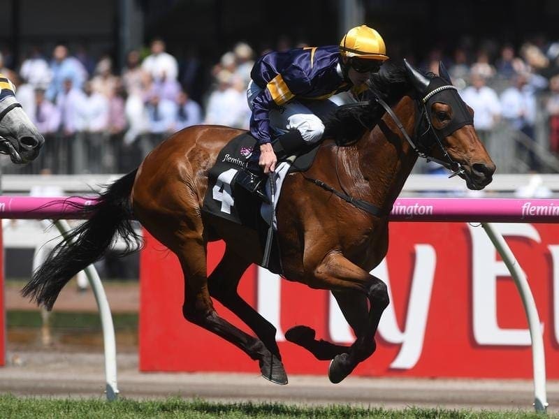 Vengeur Masque will be trying to get to the major Cups after missing out for the past two years. vengeur masque