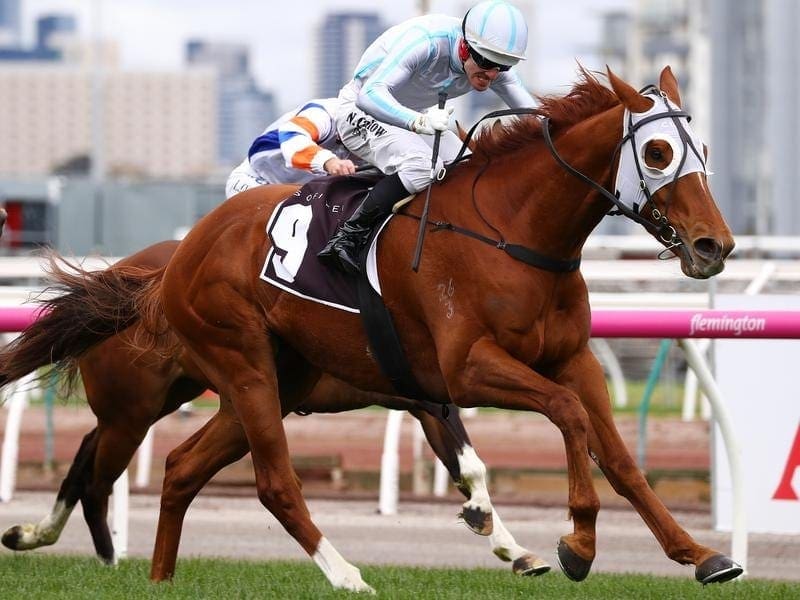 Violate wins at Flemington.