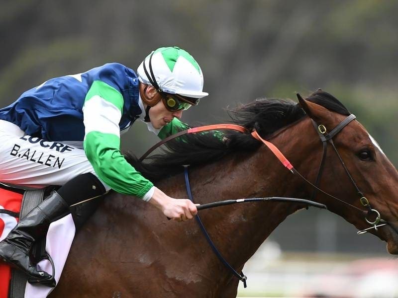 Trainer Henry Dwyer hopes Alexandra Dreaming can gain a start in a Listed race at Moonee Valley. alexandra dreaming