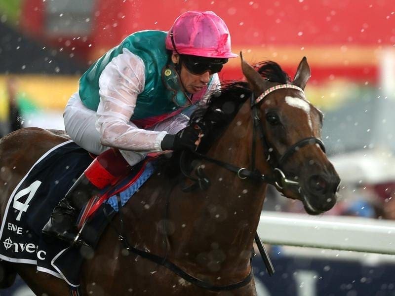 Star mare Enable is set for her first race since she won the Prix de l'Arc de Triomphe. enable