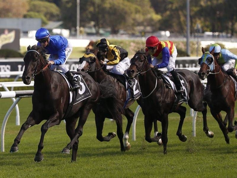 For the first time this campaign, Kementari will run over 1600m in the Makybe Diva at Flemington. kementari