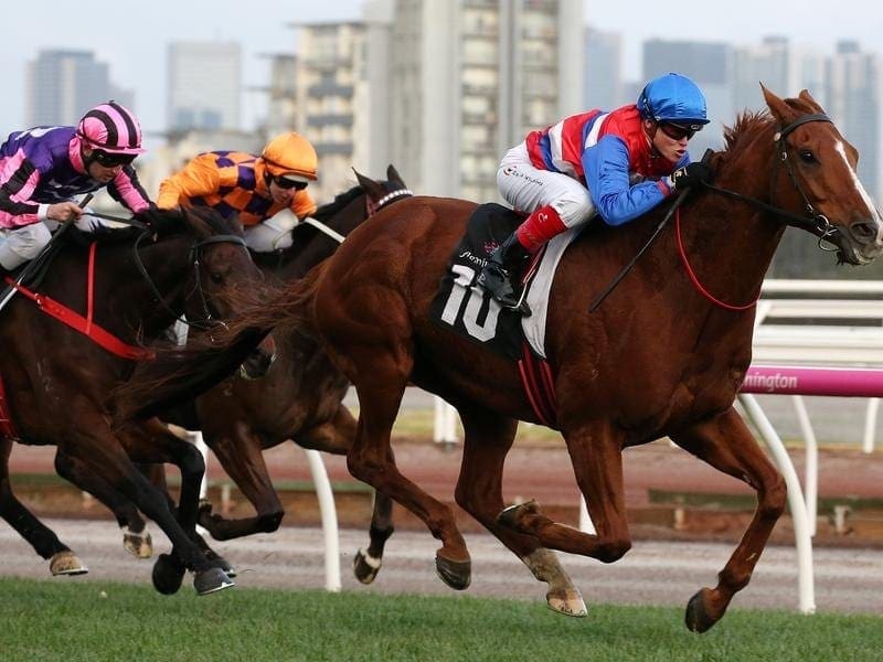 Trainer Paul Preusker will be out to make the most of a rare stakes runner with Magic Consul. Magic Consul