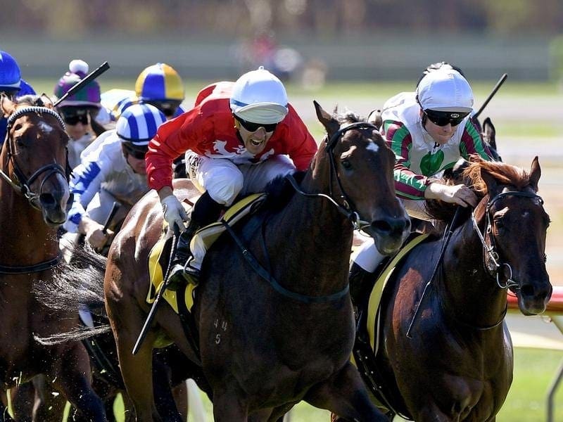 Thrillster (centre) will continue a path to the Thousand Guineas when she races at Moonee Valley. Thrillster (centre) wins at Bendigo.
