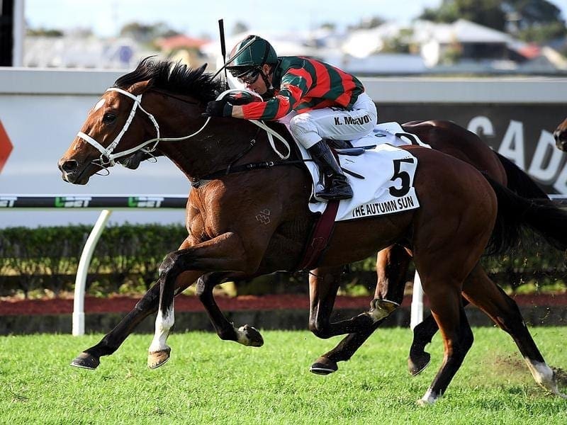 The Autumn Sun has a grip on Caulfield Guineas favouritism after drawing barrier 5 in the G1 race. the autumn sun
