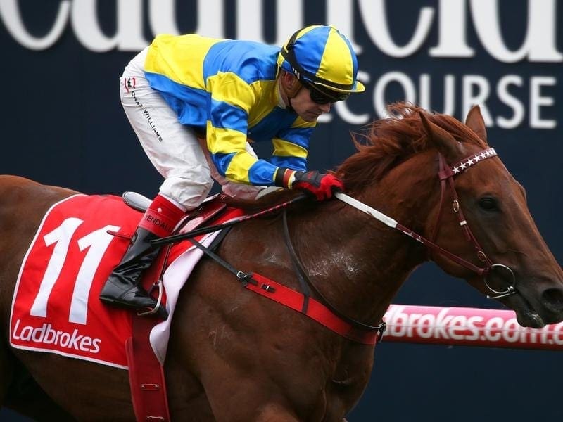 Native Soldier faces his biggest test when he takes on The Autumn Sun in the Caulfield Guineas. native soldier