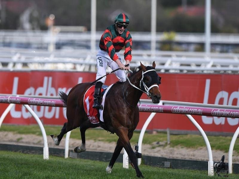 The Autumn Sun is Australia's standout three-year-old after winning the Group One Caulfield Guineas. The Autumn Sun wins the Caulfield Guineas.