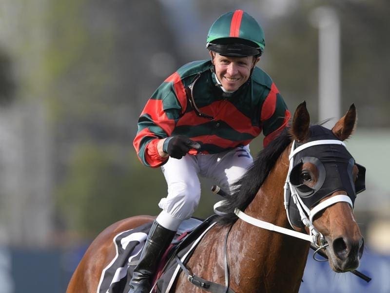 Arrowfield Stud has bought a 50 per cent share in Caulfield Guineas favourite The Autumn Sun. The Autumn Sun.