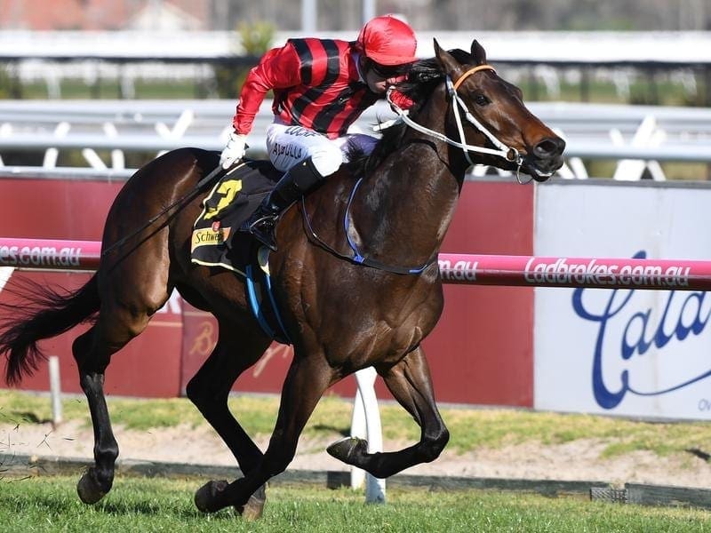 Smart Melody has maintained her unbeaten record with victory in the Thousand Guineas Prelude. smart melody