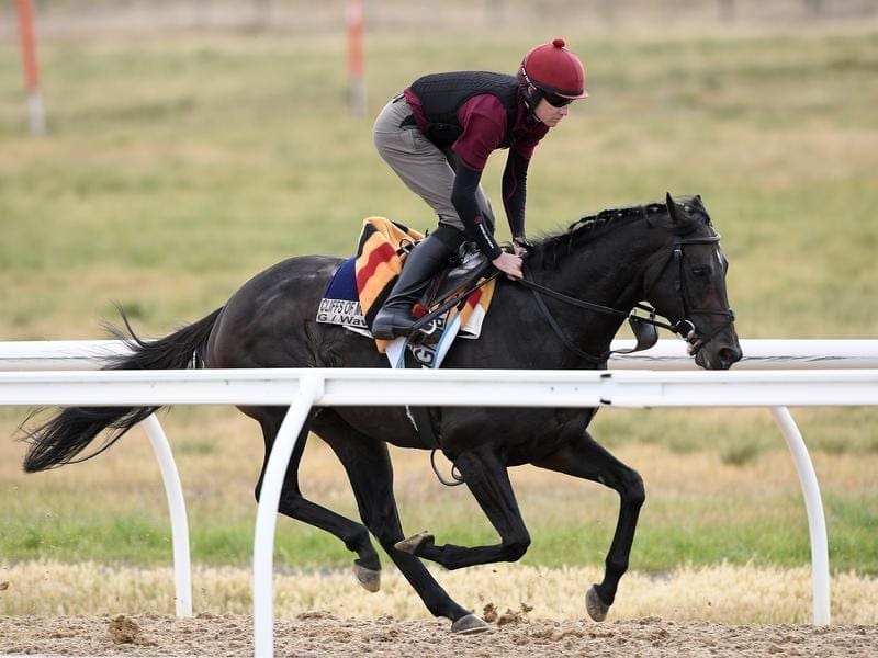 Irish horse The Cliffsofmoher will run in the Caulfield Stakes for owners Nick and Lloyd Williams. caulfield stakes
