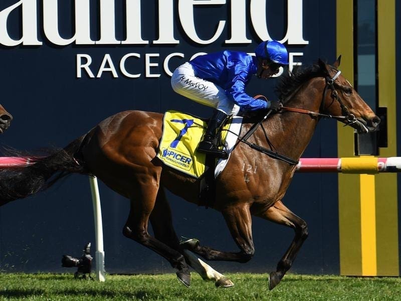 In-form Godolphin sprinter Trekking has won the Listed Testa Rossa Stakes at Caulfield. trekking