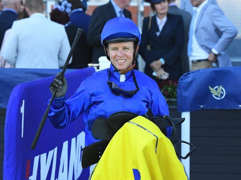 Jockey Kerrin McEvoy has put high-profile Melbourne Cup candidate Cross Counter through his paces. Kerrin McEvoy.