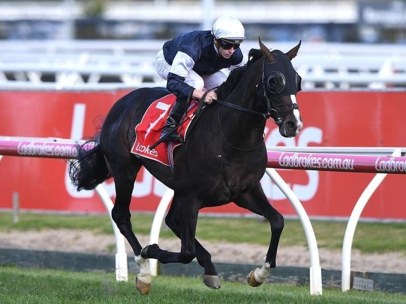 Herbert Power Stakes winner Yucatan has been given an extra 2/5kg for the Melbourne Cup for his win. yucatan